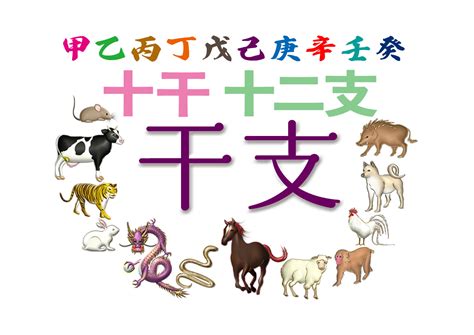 2025干支|年賀状でも覚えておきたい、2025年の干支（十二支…